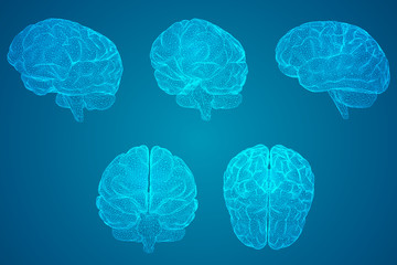 散打与泰拳的区别是什么?